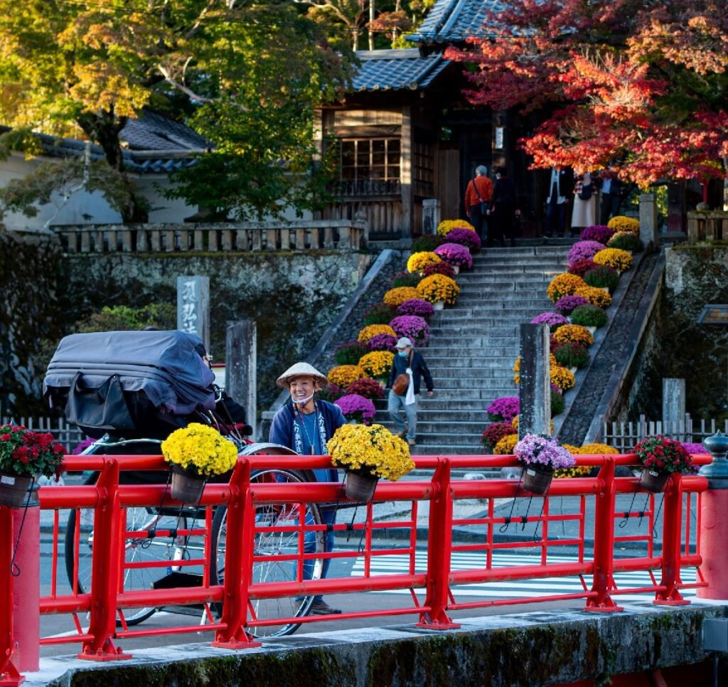 🏞️ 슈젠지 니지노사토(무지개 마을) 이미지 11